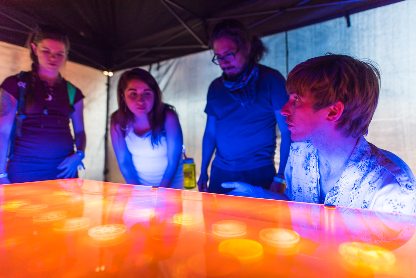 Four people stand around a glowing orange light-table holding petri dishes inside a festival tent at dusk. One wears nitrile gloves and leans in to examine the illuminated samples.