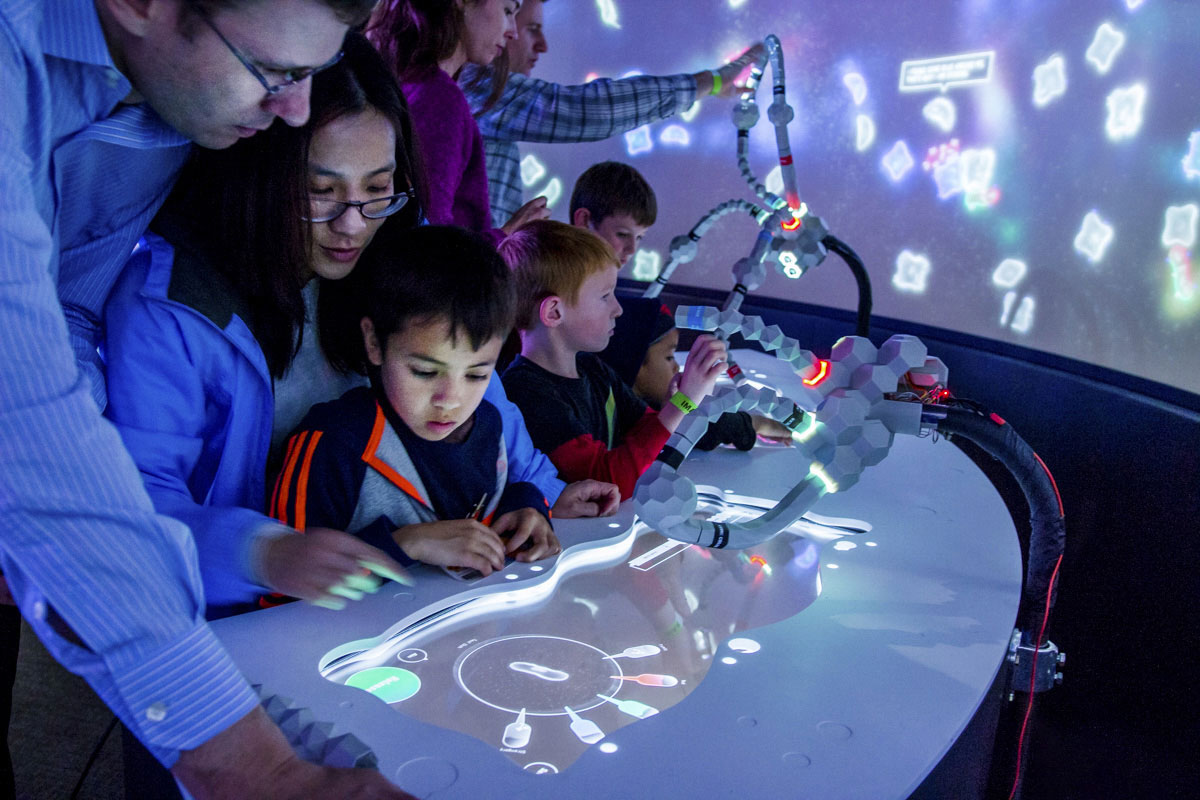 The Creature Creation Station in BioDesign Studio. A curved interactive table where visitors design hybrid synthetic creatures by combining tangible bio-element tokens. A vertical screen displays the resulting organism animating in a virtual habitat.