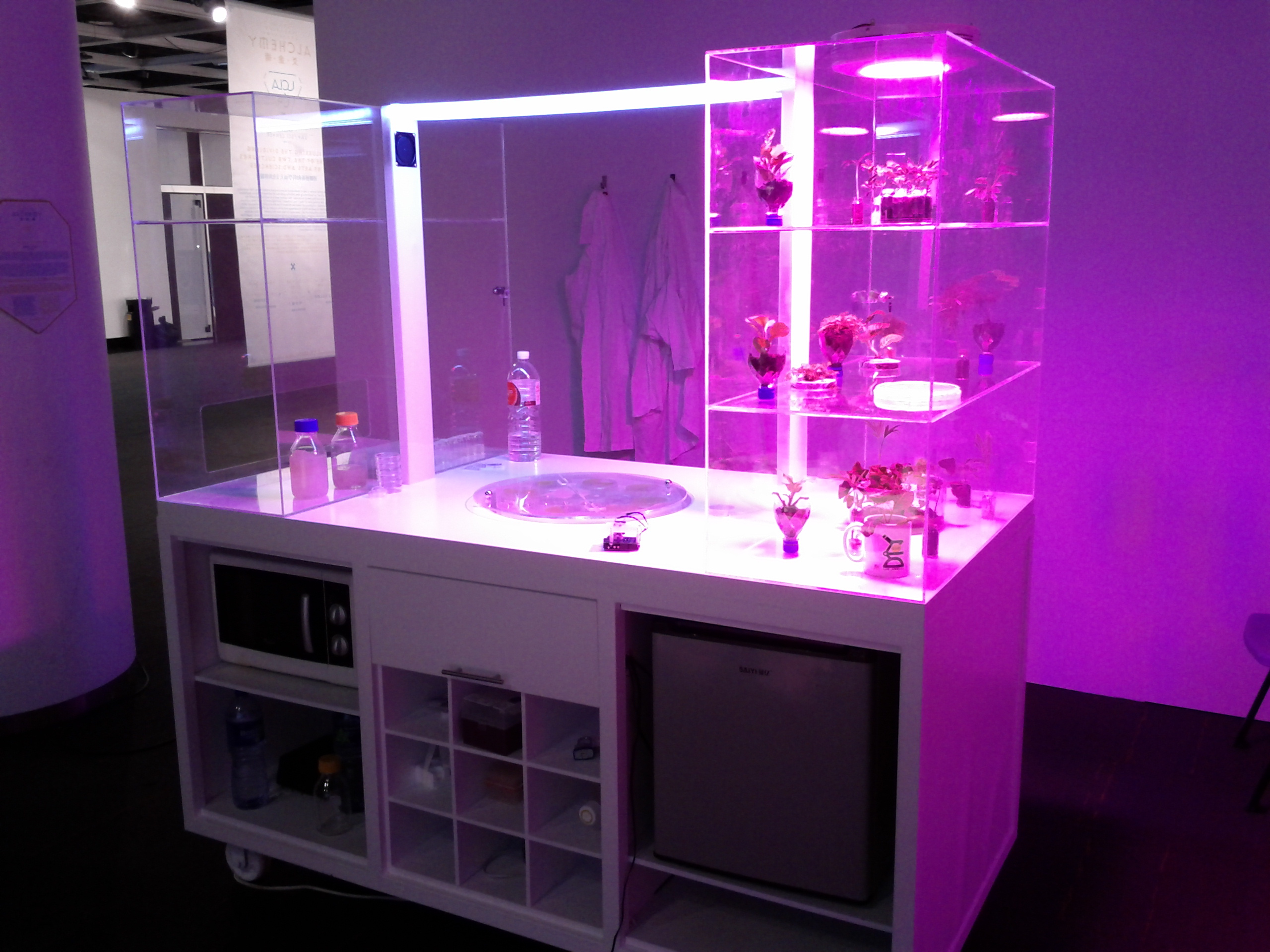 Installation view of the BioForge artist lab at the MICROWAVE festival in Hong Kong. <!-- VERIFY: confirm caption details against festival catalog -->